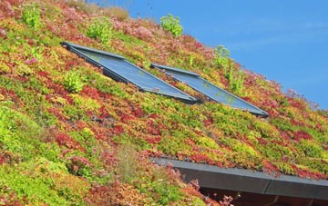 Rockland All Saints living roof systems