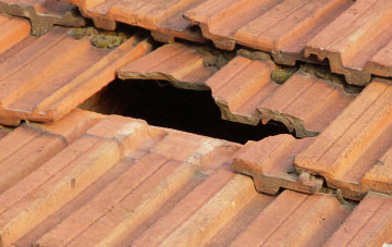 roof repair Rockland All Saints, Norfolk