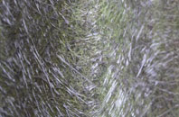 Rockland All Saints fibreglass roof work